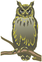 owl.gif (14573 bytes)